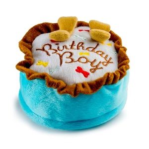 Birthday Boy Toy Squeaker Dog Toy